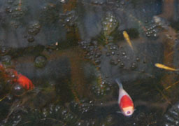 �����̋���