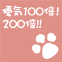 �D�C100�{
