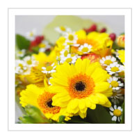 �T���v��